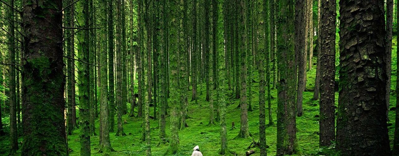  بهترین رنگ لاک برای روشن نشان دادن پوست دست گندمی و سبزه