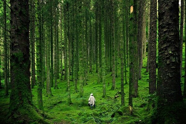  بهترین رنگ لاک برای روشن نشان دادن پوست دست گندمی و سبزه
